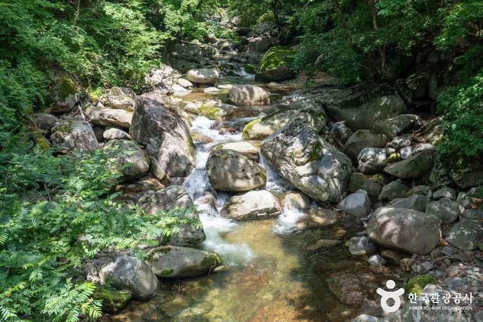 해인사(합천) 사진 6