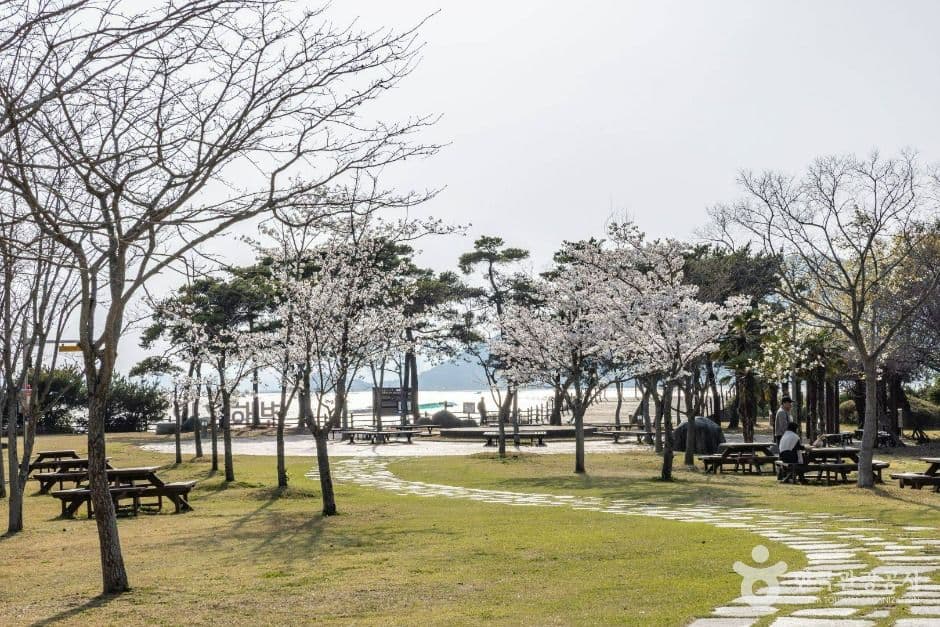 와온공원 사진 2