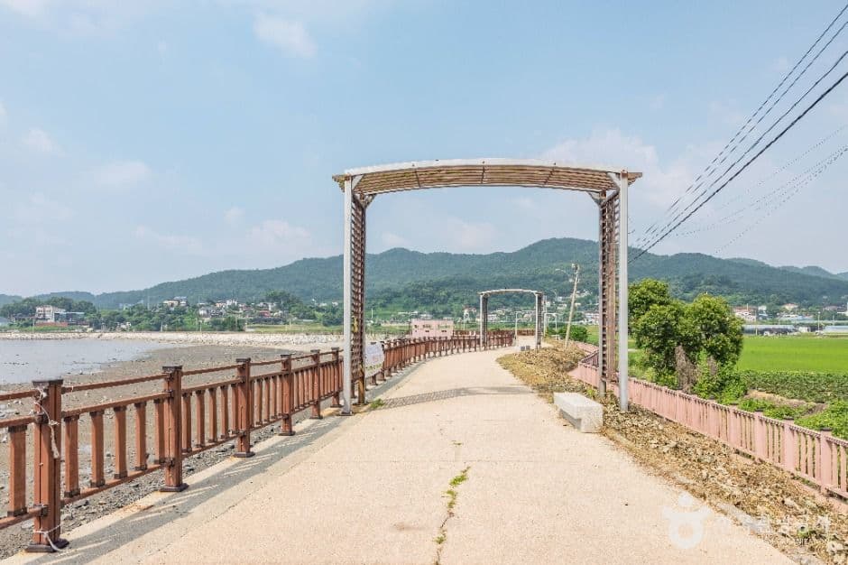 장화리일몰조망지 사진 8