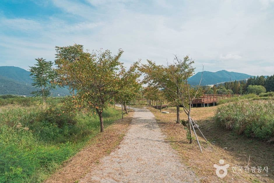 당정뜰 사진 3
