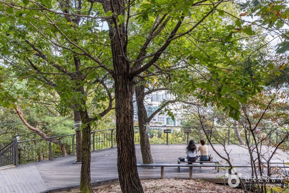 봉화산(서울) 사진 6