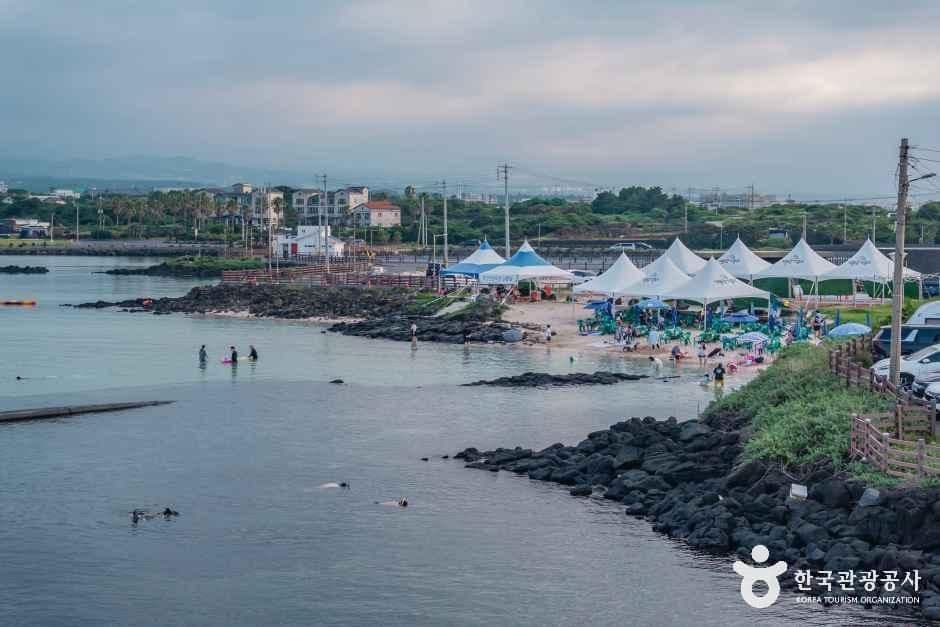 제주신흥해수욕장 사진 5
