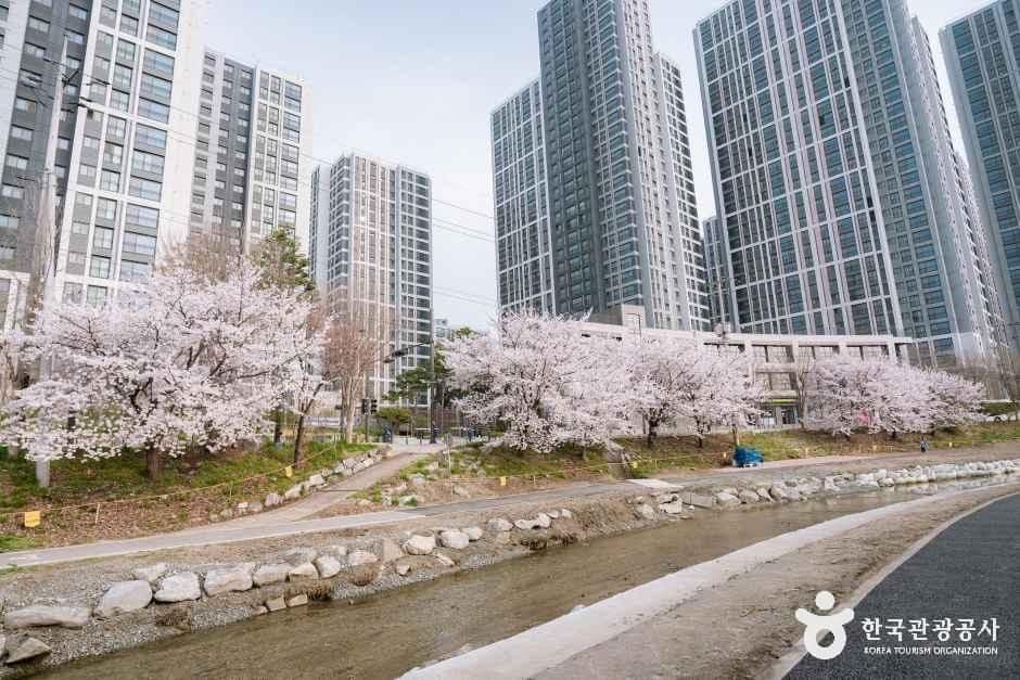 원성천 사진 2