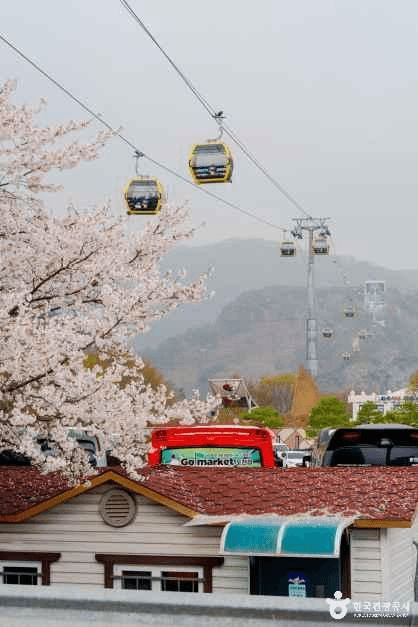 소금산그랜드밸리 사진 7