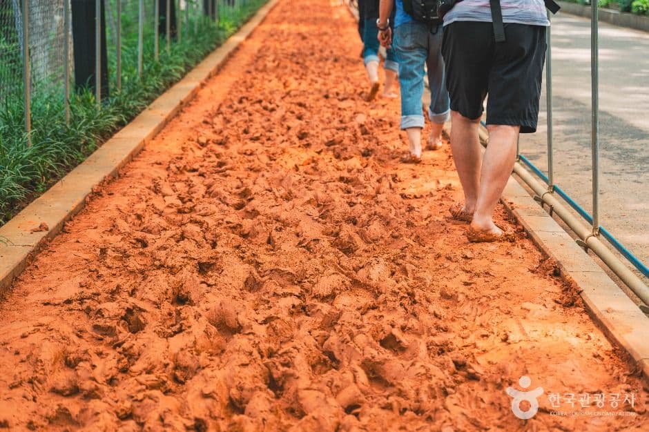 서대문 안산(안산자락길) 사진 1