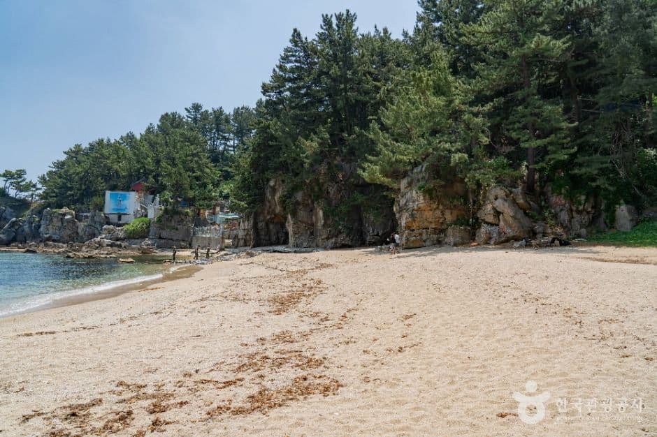 감추해변 사진 4