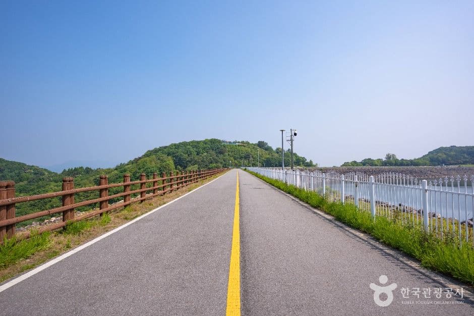 호명호수공원 사진 4