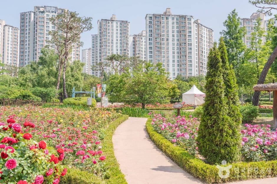 오산 고인돌공원 사진 1