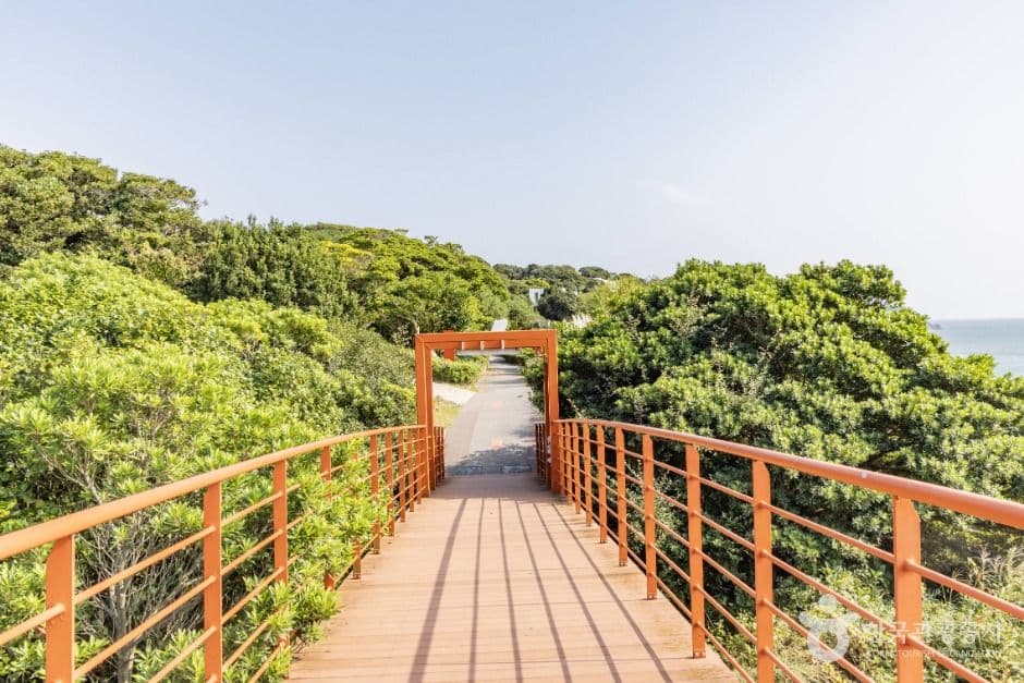 장사도해상공원 까멜리아 사진 4
