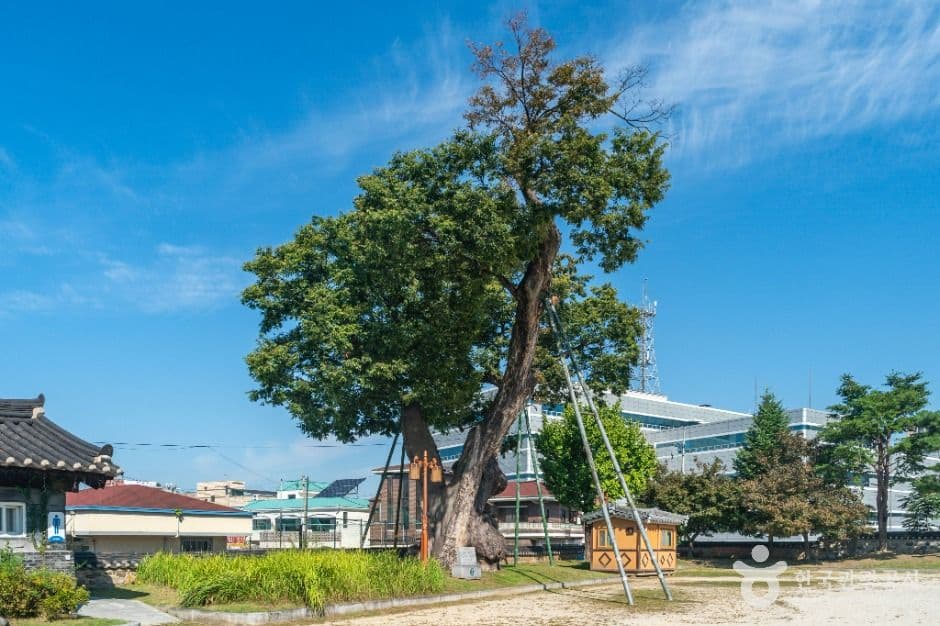 충주 관아공원 사진 3