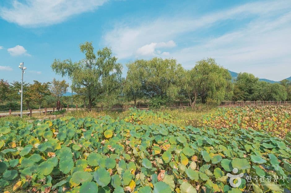 당정뜰 사진 4
