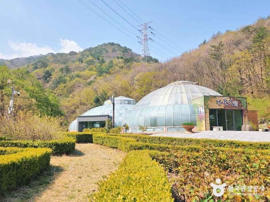 강릉 솔향수목원 사진 3