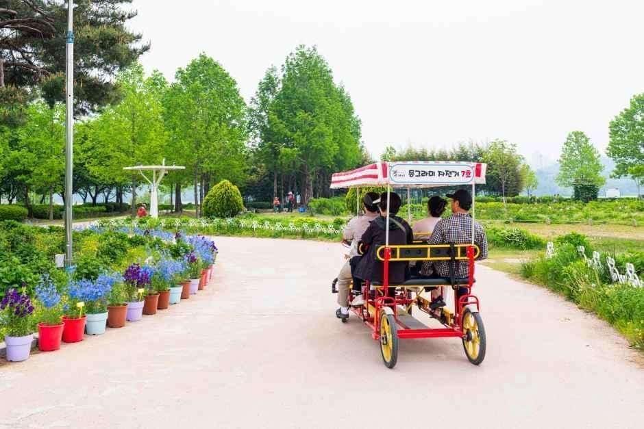 구리한강시민공원(코스모스공원) 사진 3