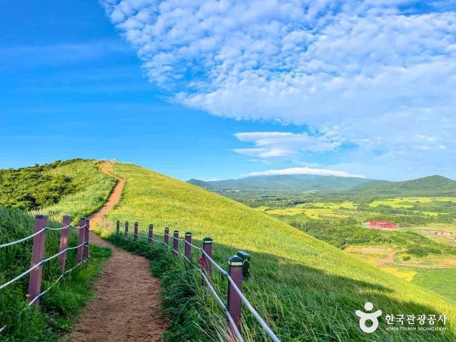 새별오름 사진 2