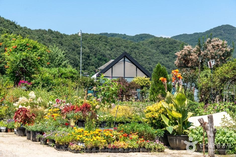 퇴촌식물원 사진 1