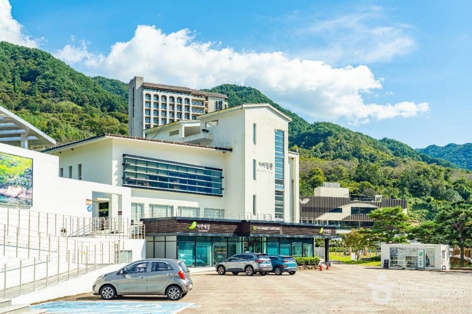 하동야생차박물관 사진 2