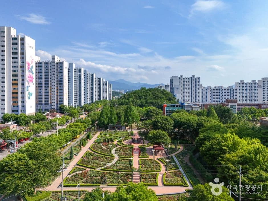 이곡장미공원 사진 7