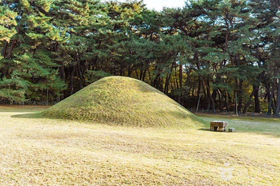 경주 경애왕릉 사진 1