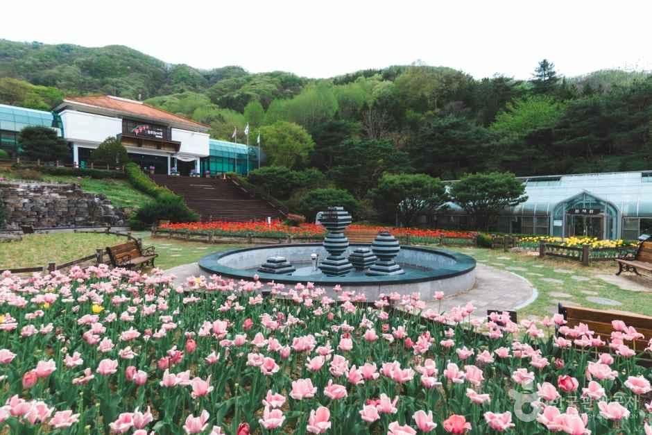 대아수목원 사진 4
