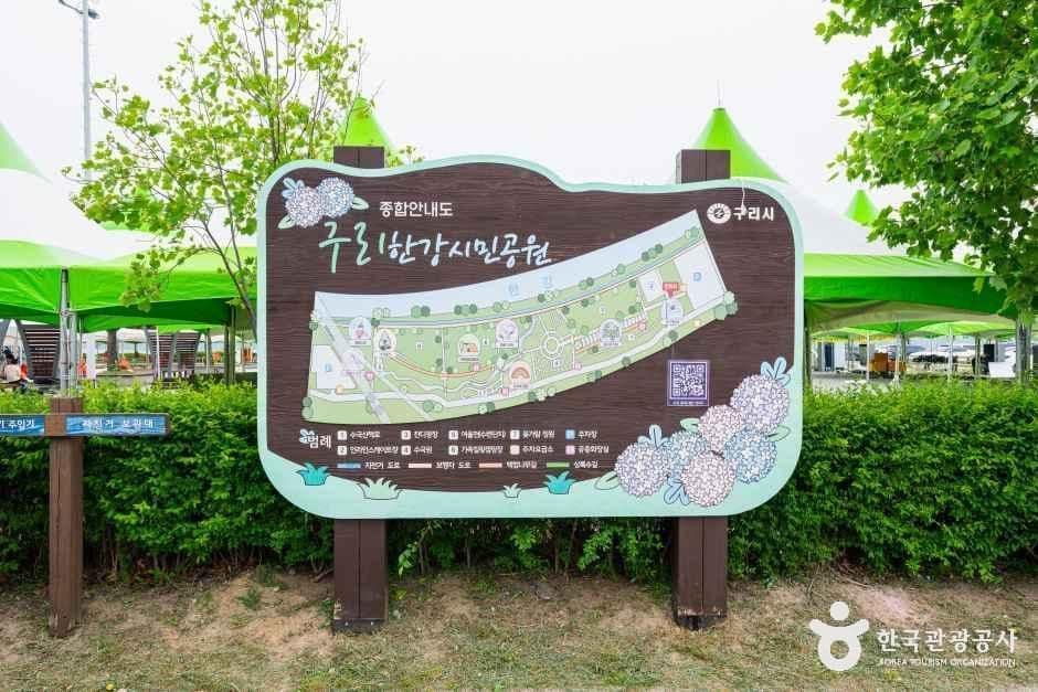 구리한강시민공원(코스모스공원) 사진 4