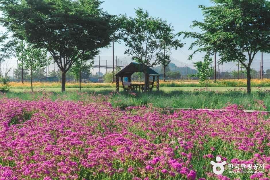 대산플라워랜드 사진 7