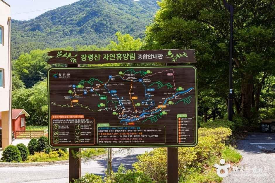 장령산자연휴양림 사진 5