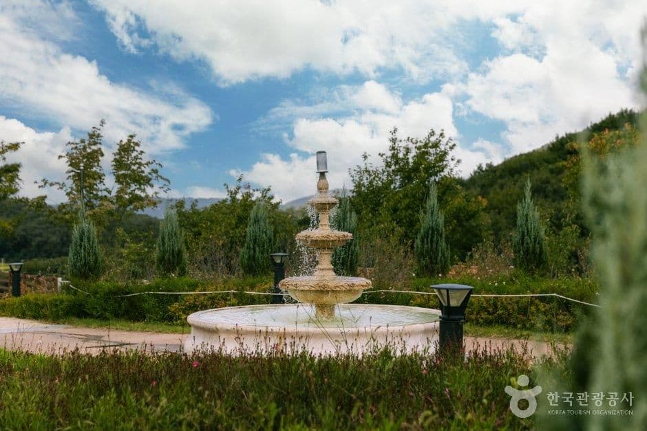 용인자작나무숲
