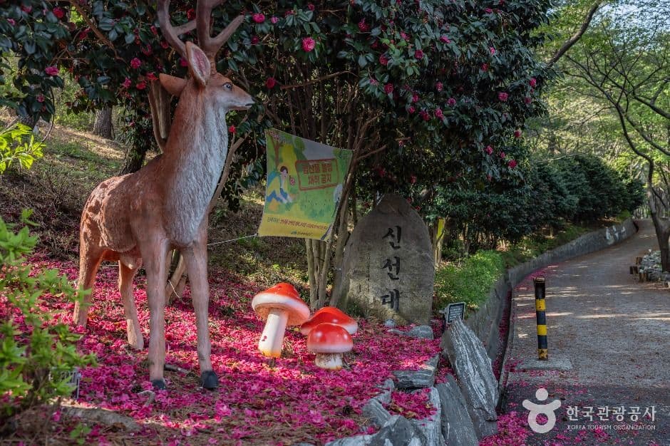 신선대(부산) 사진 4