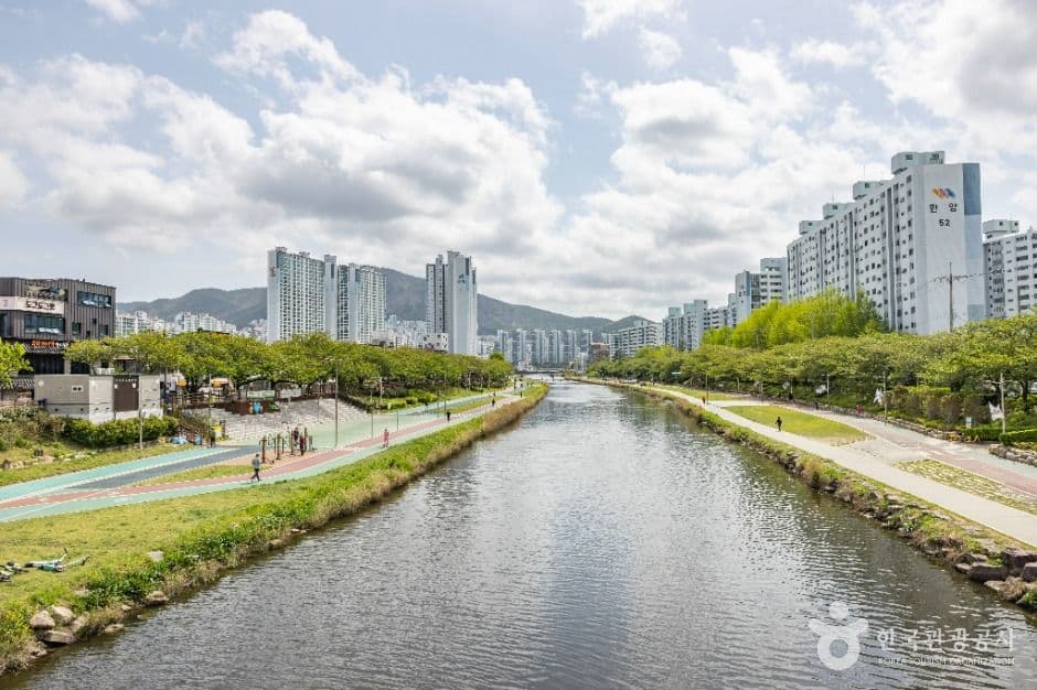 온천천시민공원 사진 7