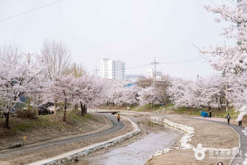 원성천 사진 4
