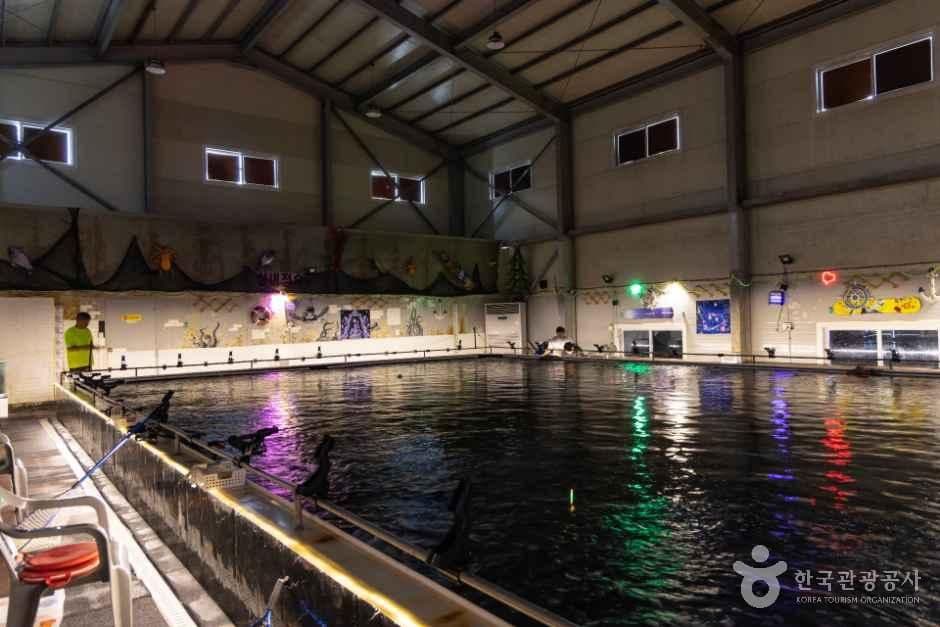 인천락실내바다낚시터 사진 6