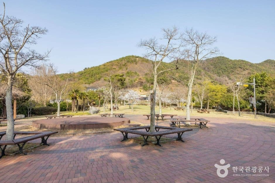 와온공원 사진 6
