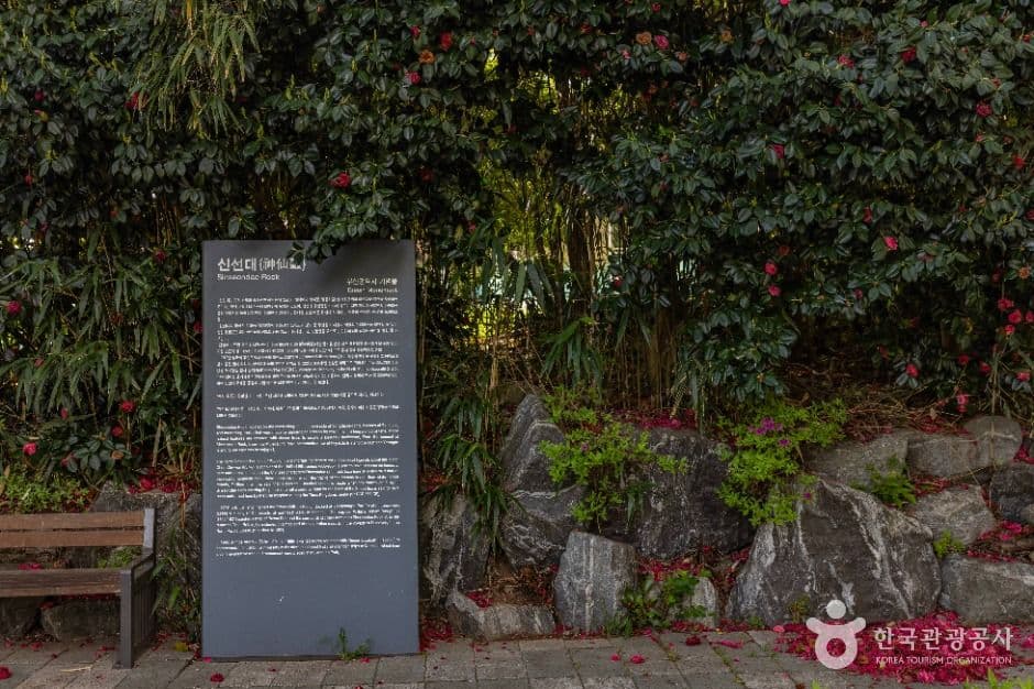 신선대(부산) 사진 5