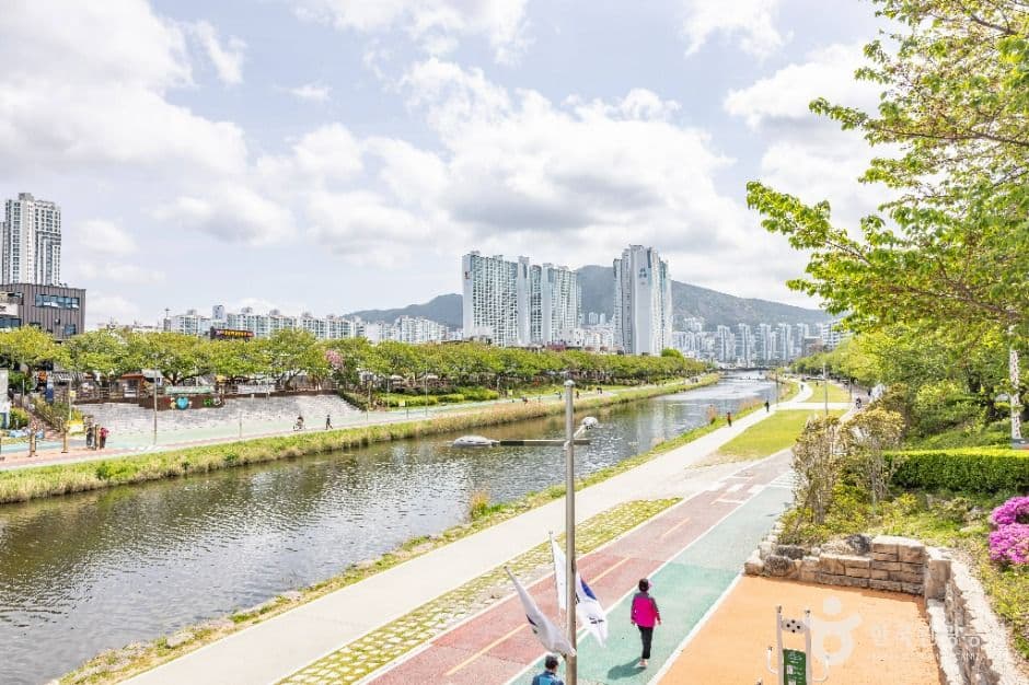 온천천시민공원 사진 8