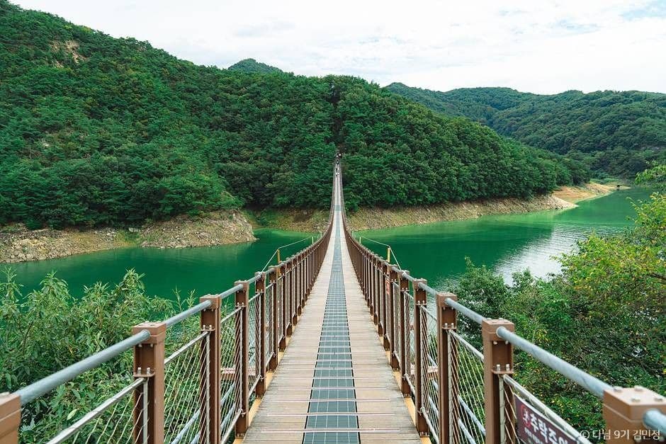 제천 옥순봉 출렁다리 사진 3