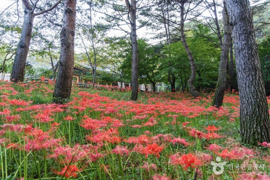 수덕사(예산) 사진 1