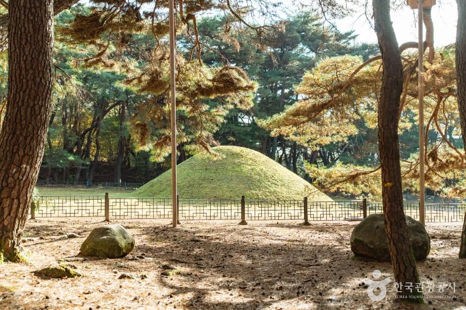 경주 경애왕릉 사진 2