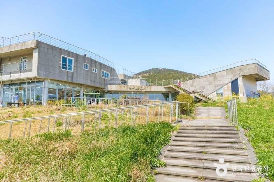 유채꽃프라자 사진 2