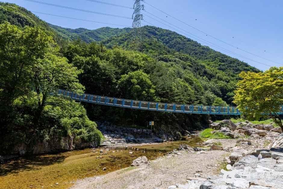 장령산자연휴양림 사진 7