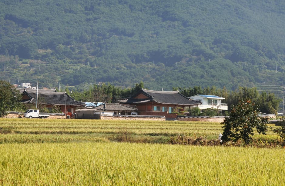 하죽마을