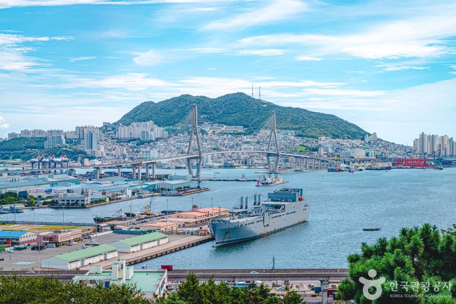 우암동 도시숲 사진 7