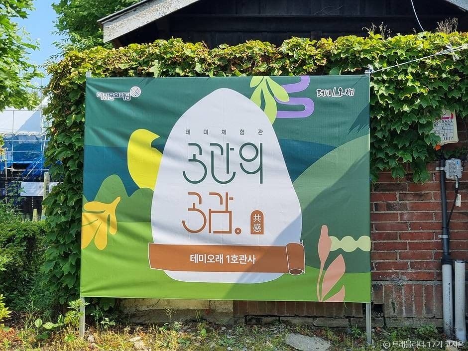 테미오래 사진 3