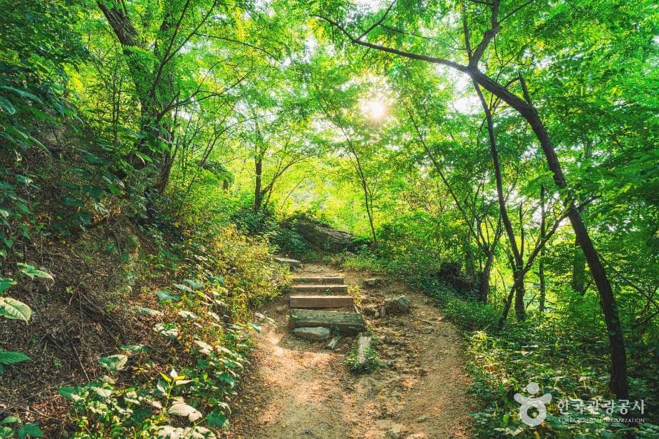 서대문 안산(안산자락길) 사진 3
