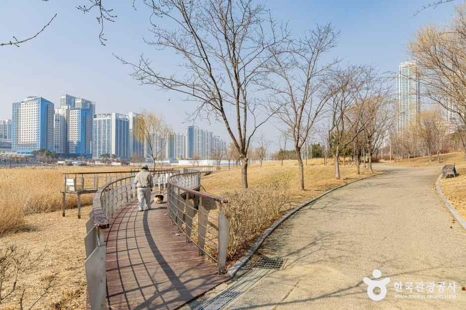 청라호수공원 사진 5