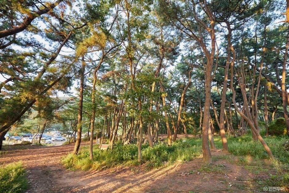 호룡곡산