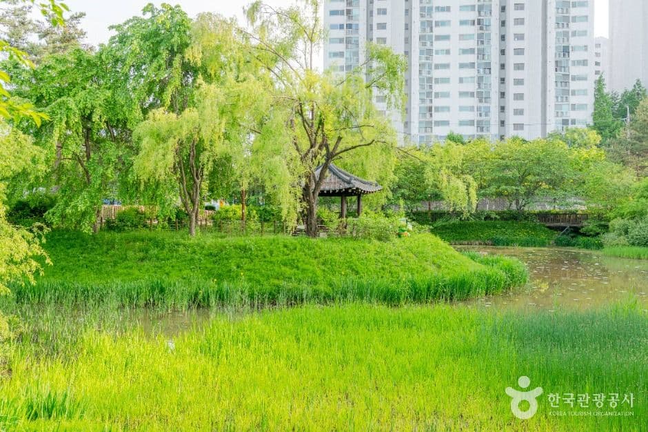 밤밭청개구리공원 사진 1