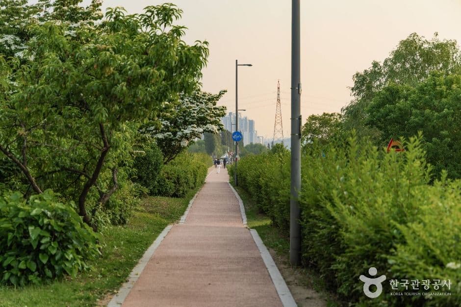 잠원한강공원 사진 3