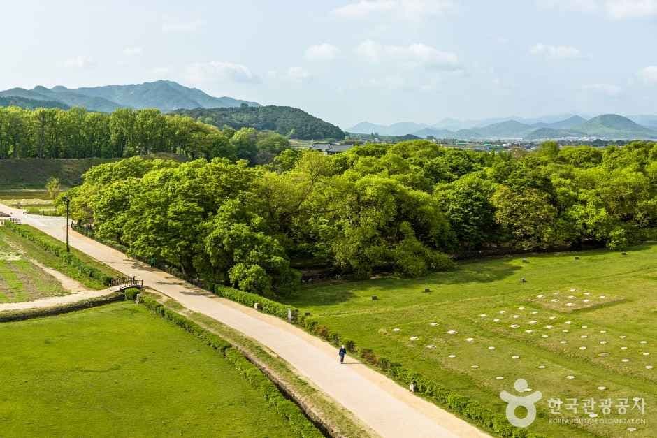 경주 계림 사진 2