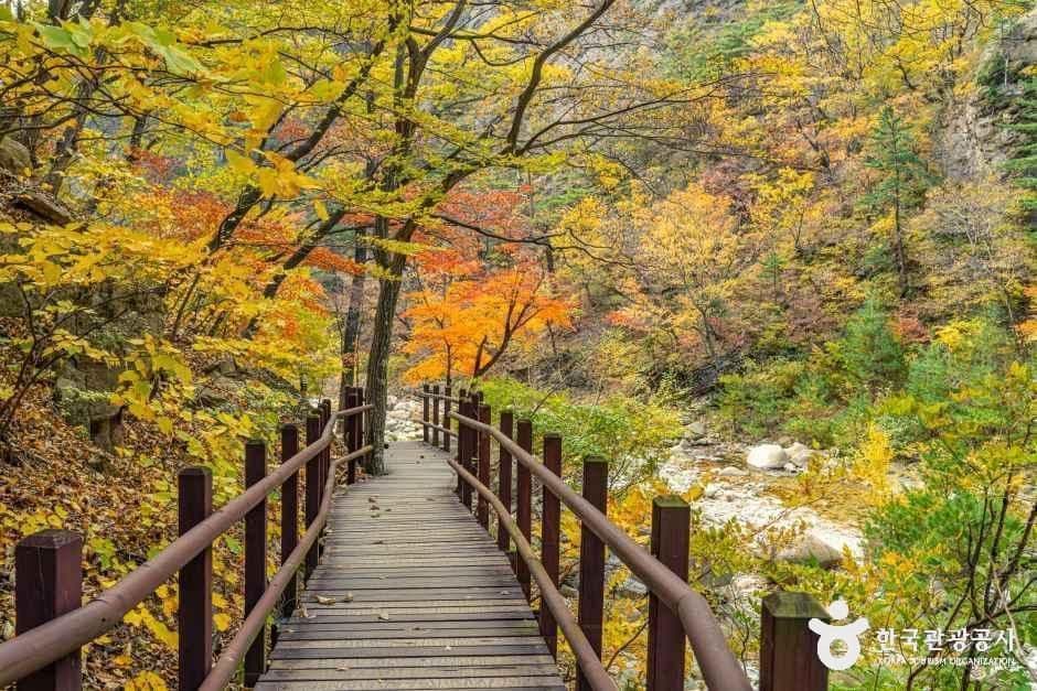 설악산 오색주전골 사진 3