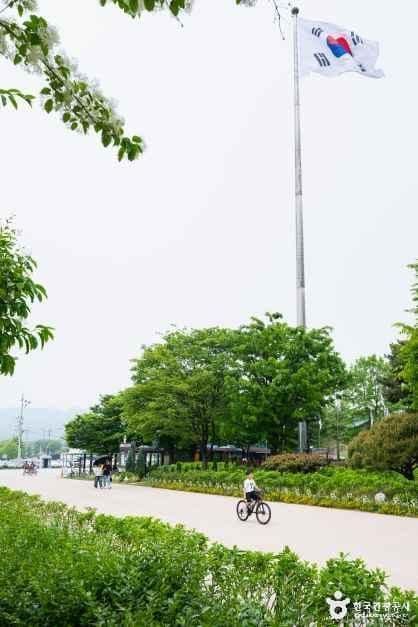 구리한강시민공원(코스모스공원) 사진 6